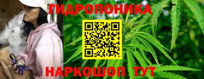 ГАЛЛЮЦИНОГЕННЫЕ ГРИБЫ Гай