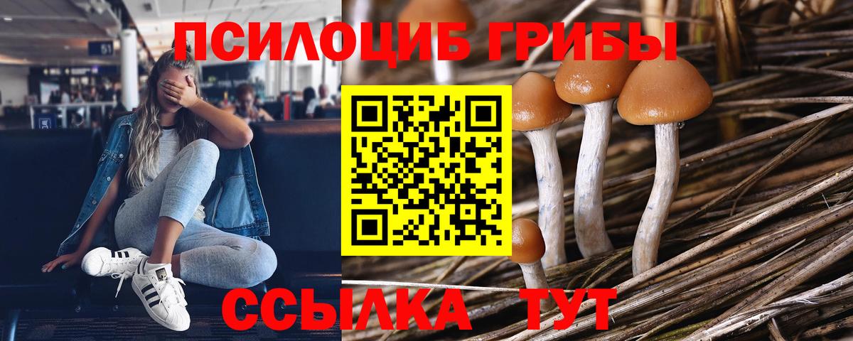 Галлюциногенные грибы мицелий Назрань